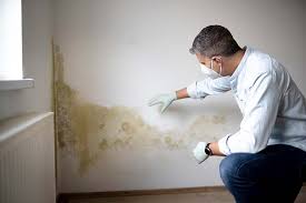 Best Mold Damage Restoration  in Lowesville, NC